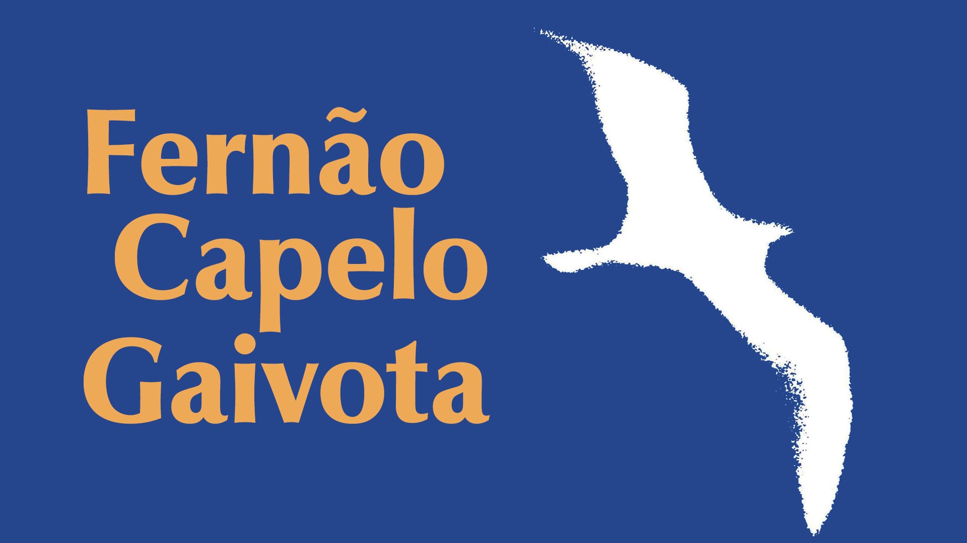 A História de Fernão Capelo Gaivota